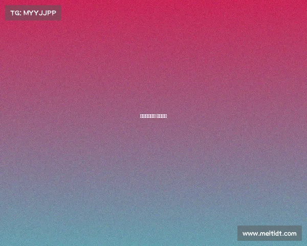 女子自由搏击 赛事视频