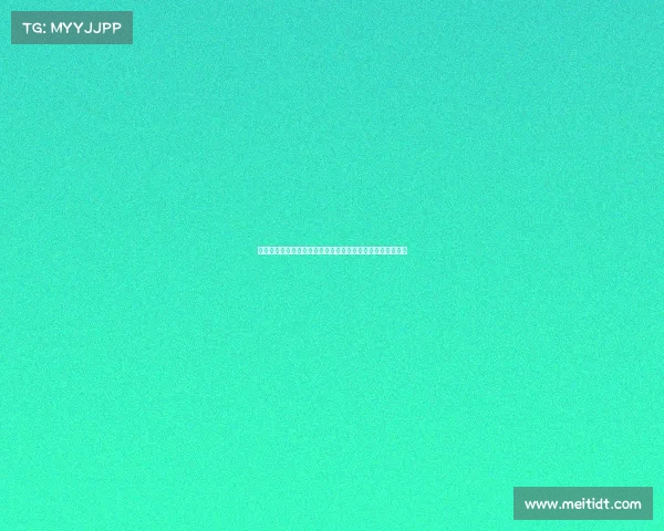 平衡车赛事流程全程解析从准备到完赛的详细步骤与实践指南