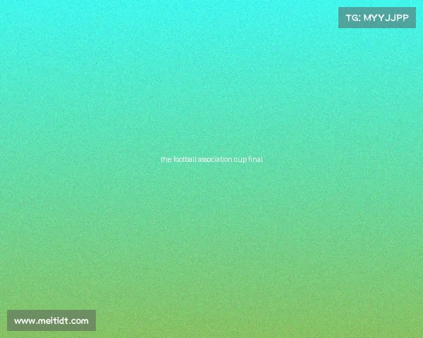 the football association cup final