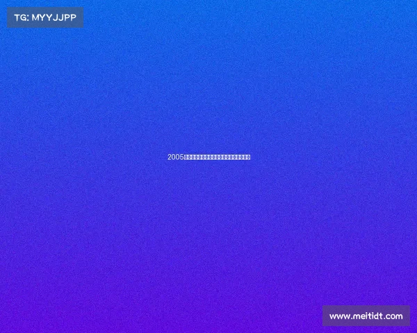 2005中国国足世预赛征程激情岁月的绿茵回忆录